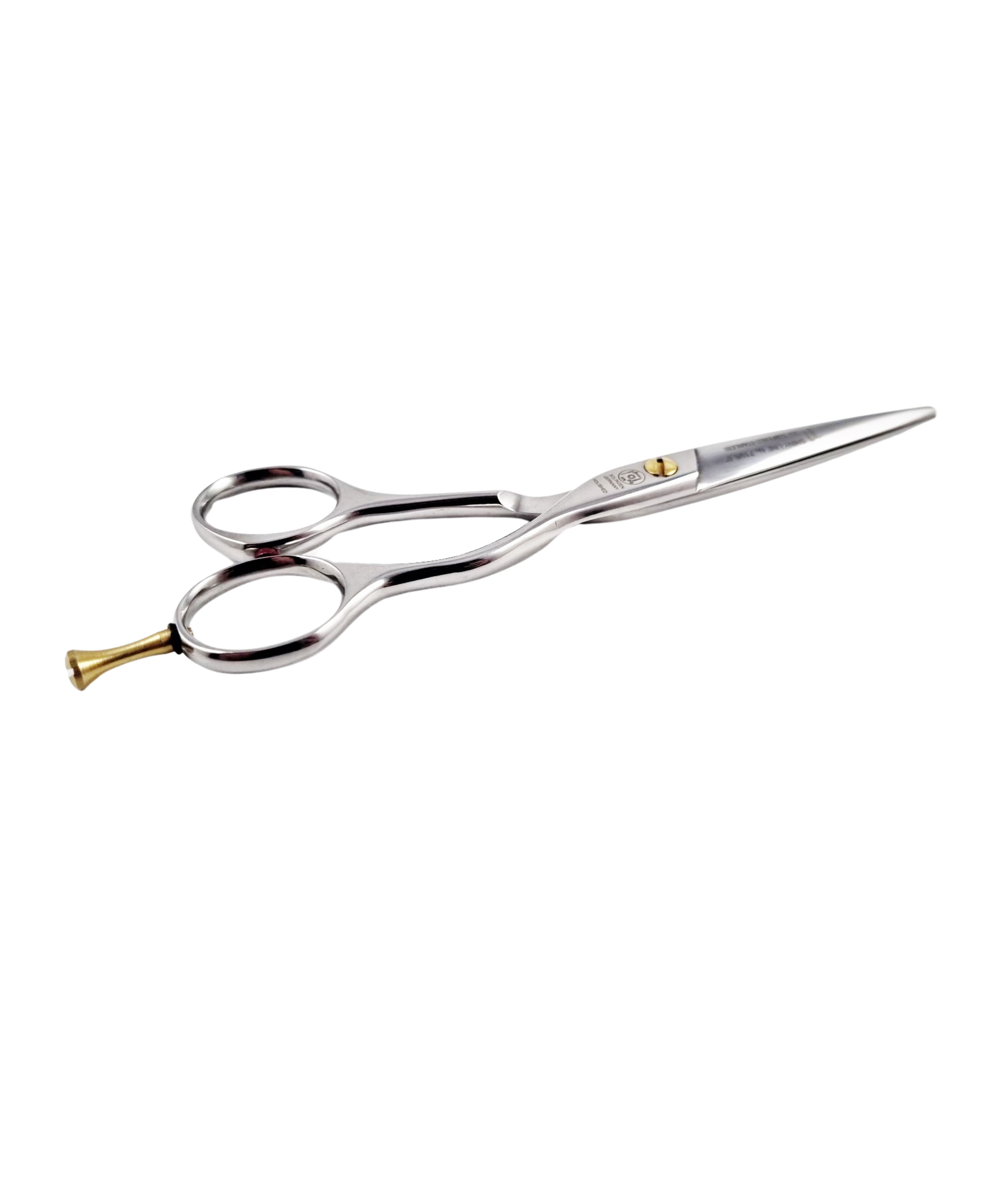 NTS Tijeras de peluquería Ergo Shiny Line 710-6.0 Tamaño – 6,0 pulgadas – 15,2 cm