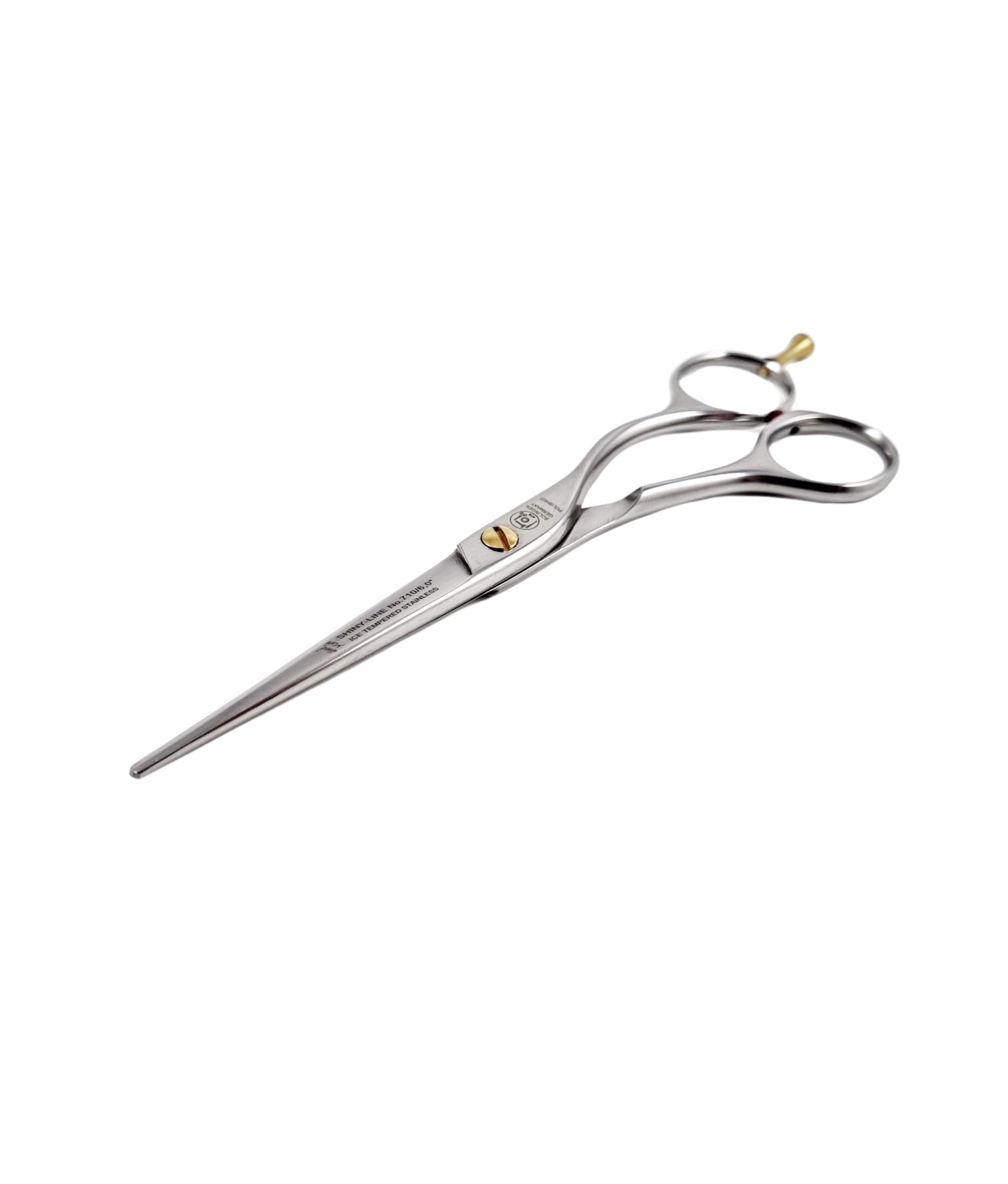 NTS Tijeras de peluquería Ergo Shiny Line 710-6.0 Tamaño – 6,0 pulgadas – 15,2 cm NTS Tijeras de peluquería Ergo Shiny Line 710-6.0 Tamaño – 6,0 pulgadas – 15,2 cm