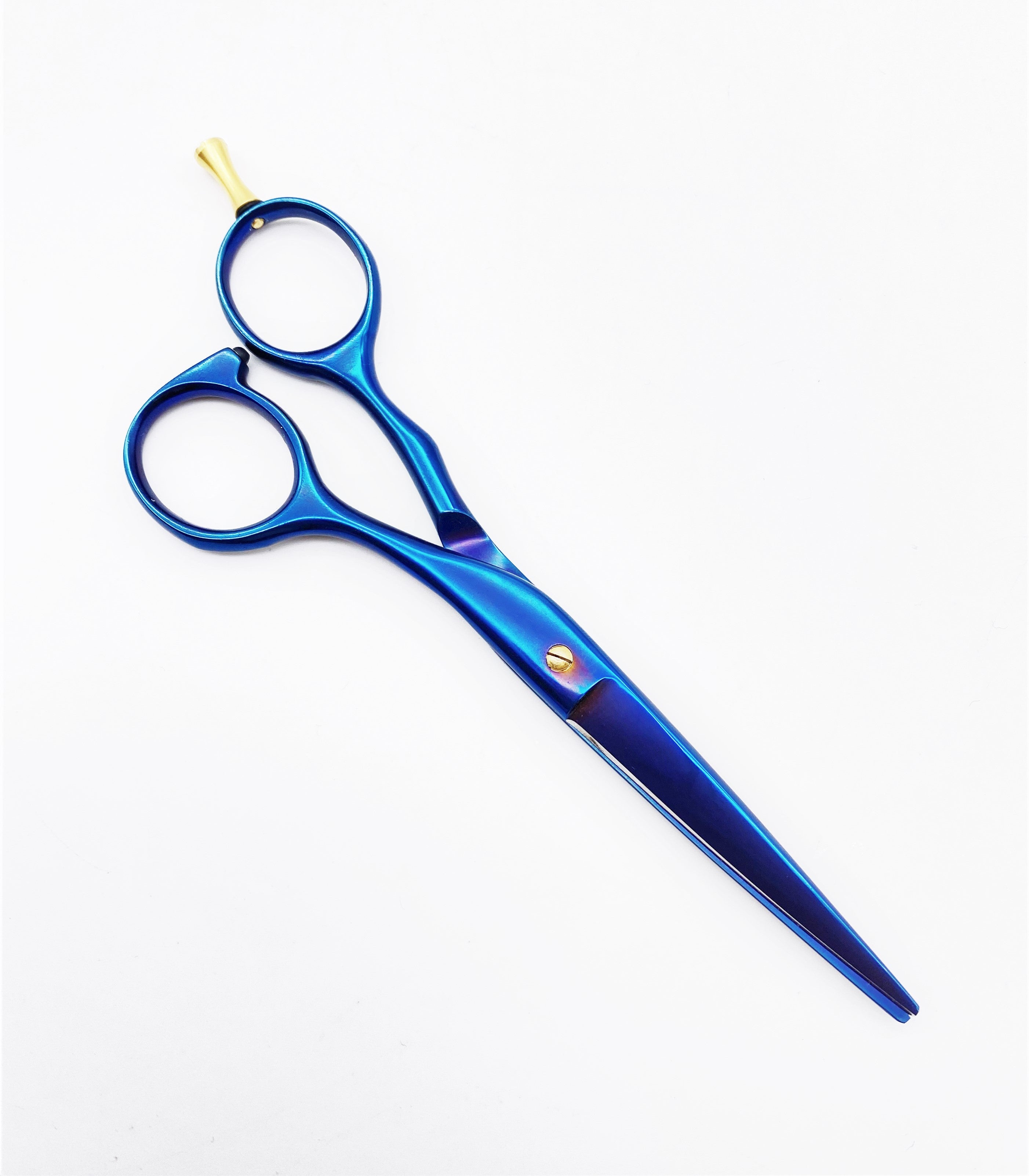 NTS Tijeras de peluquería Ergo Titan Line 700-5.5 Tamaño 5,5 pulgadas – 14 cm