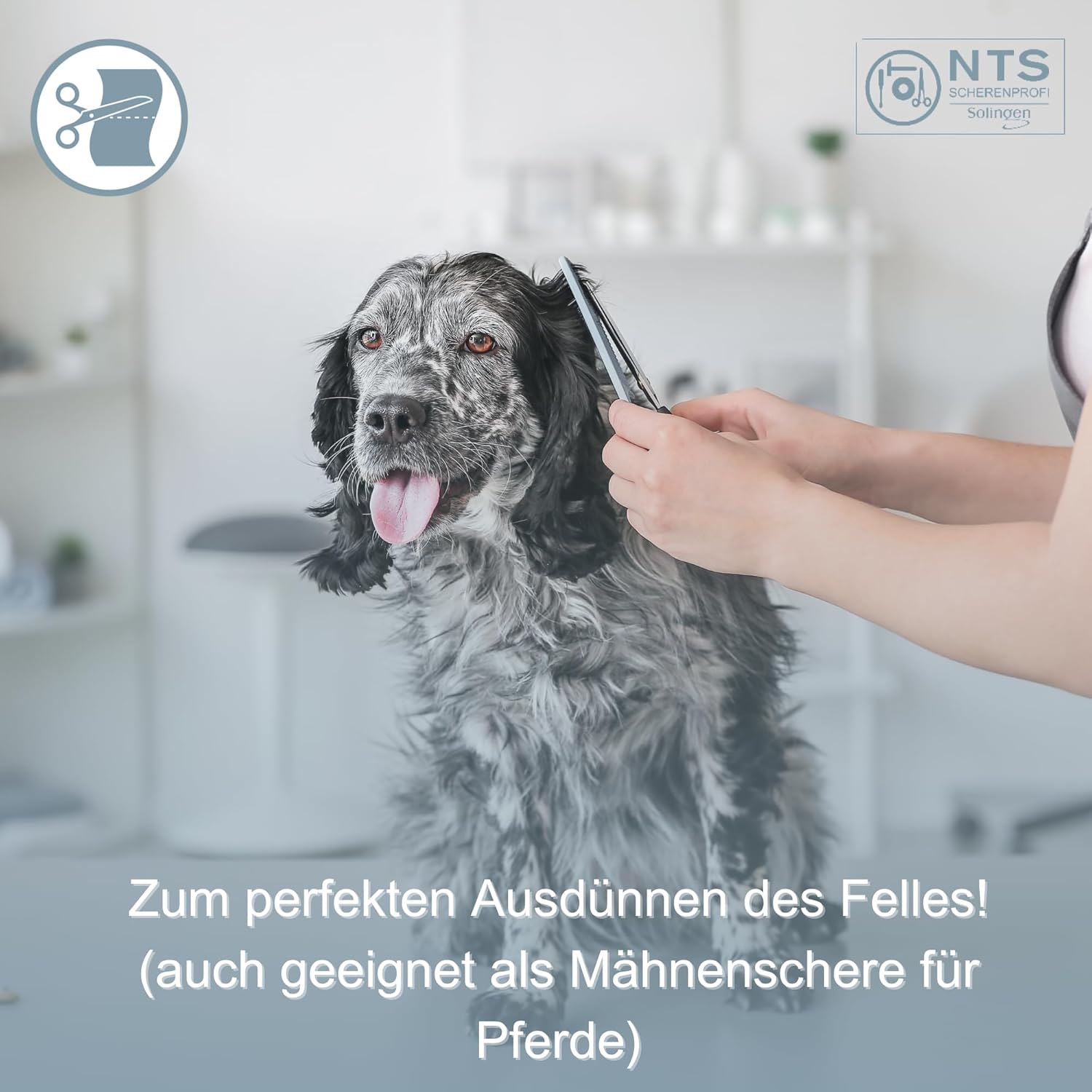 NTS Tijeras para perros Tijeras de entresacar inoxidables, 30 dientes unilateral