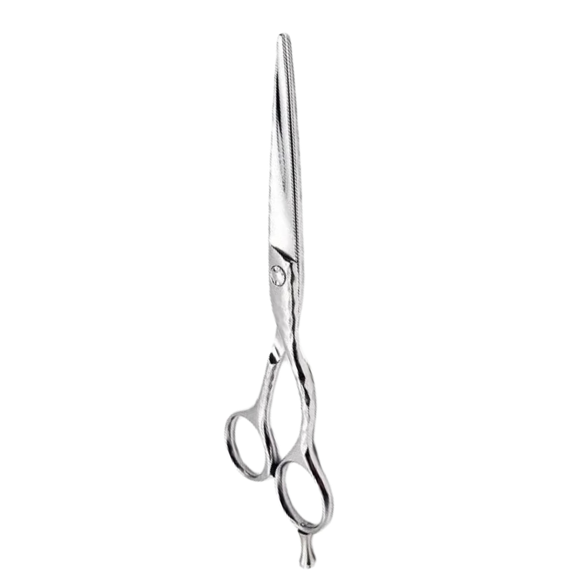 NTS Tijeras de peluquería Ergo Diamond Shiny Line 6"