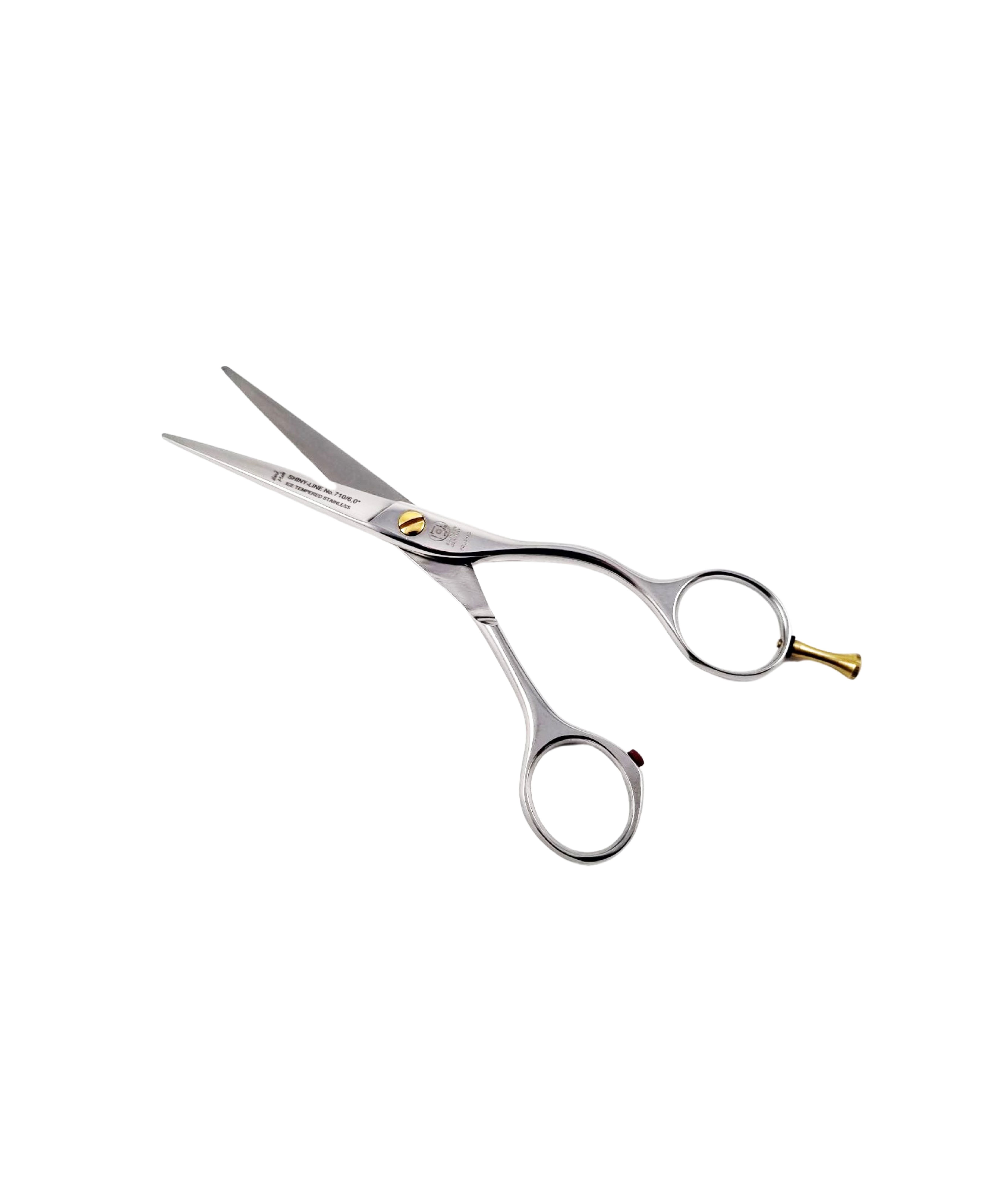 NTS Tijeras de peluquería Ergo Shiny Line 710-6.0 Tamaño – 6,0 pulgadas – 15,2 cm NTS Tijeras de peluquería Ergo Shiny Line 710-6.0 Tamaño – 6,0 pulgadas – 15,2 cm