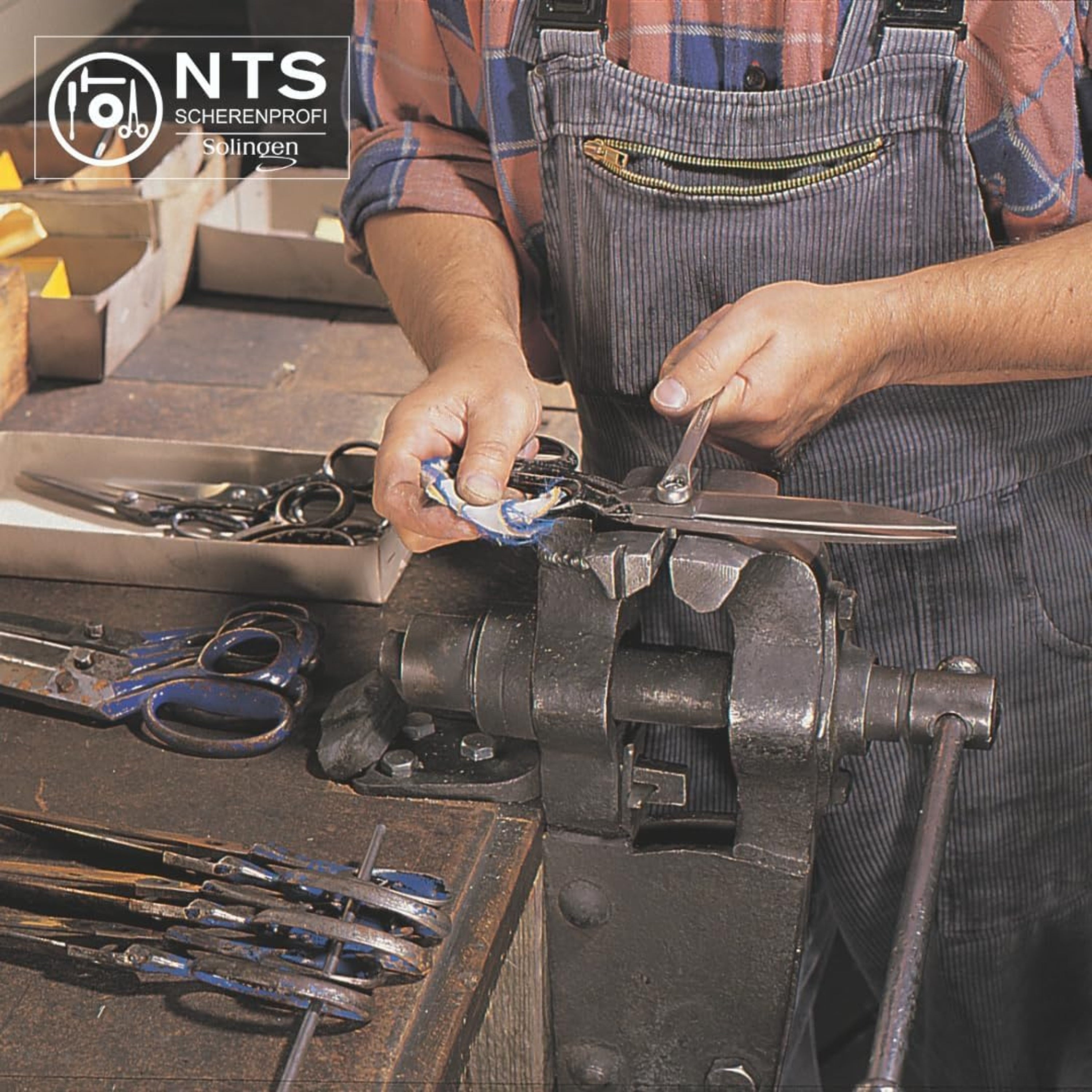 NTS Tijeras para perros Tijeras de entresacar inoxidables, 30 dientes doble cara NTS Tijeras para perros Tijeras de entresacar inoxidables, 30 dientes doble cara