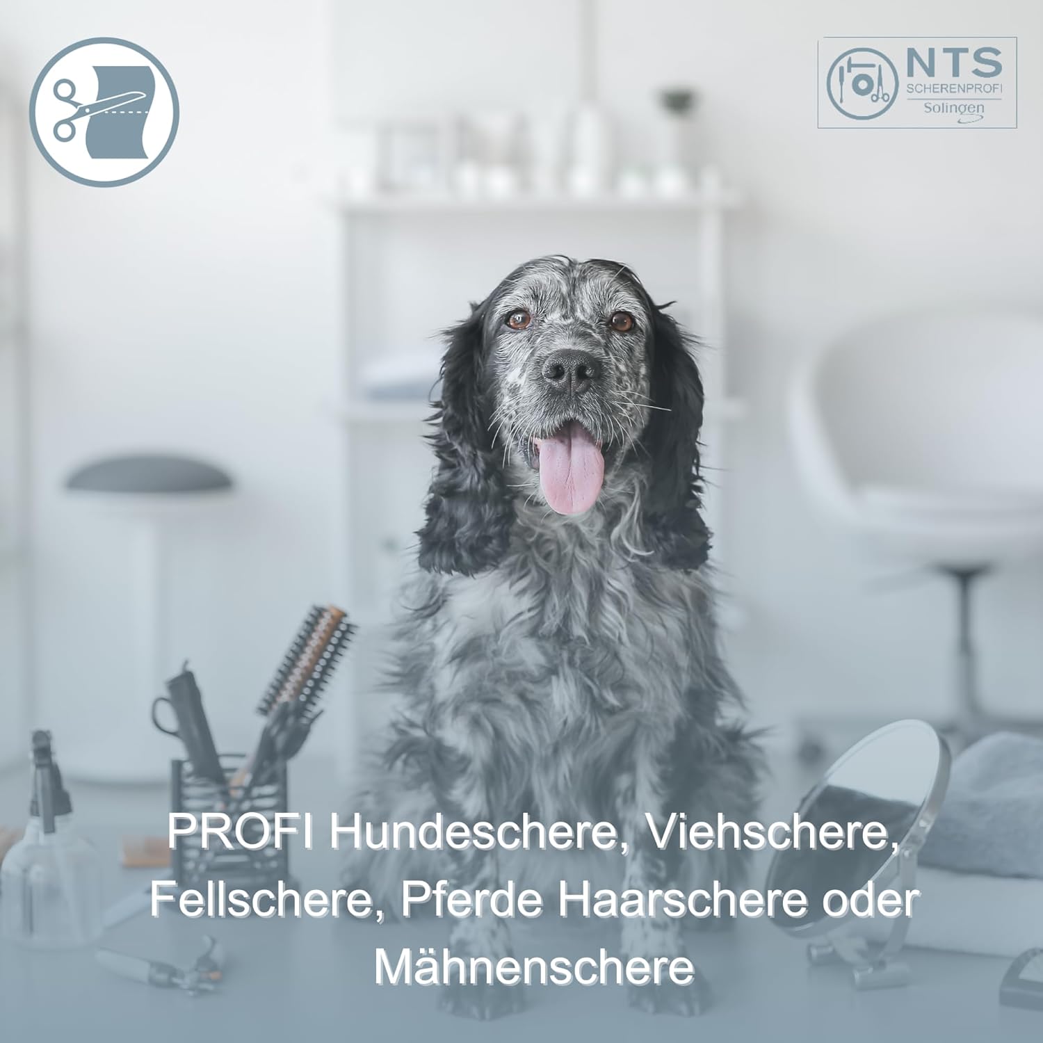 NTS Hundeschere 9"